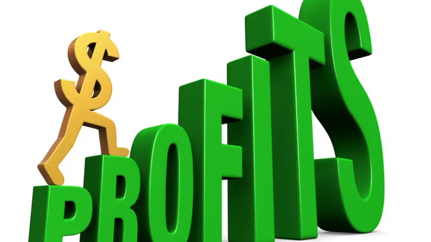 Role Of Profit In Business